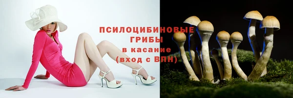 а пвп мука Лабытнанги